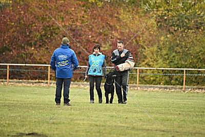 Dexx-Daemon vom Hatzbachtal