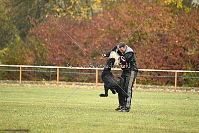 Dexx-Daemon vom Hatzbachtal