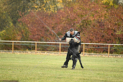 Dexx-Daemon vom Hatzbachtal