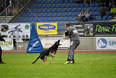 Diego vom Alten Bernauer Heerweg