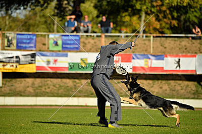 Diego vom Alten Bernauer Heerweg