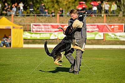 Diego vom Alten Bernauer Heerweg