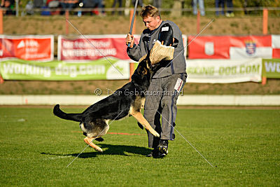 Diego vom Alten Bernauer Heerweg
