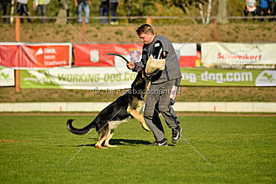 Diego vom Alten Bernauer Heerweg