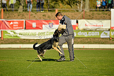 Diego vom Alten Bernauer Heerweg