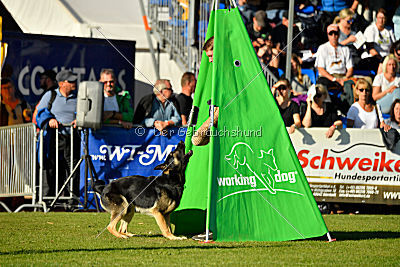 Diego vom Alten Bernauer Heerweg