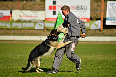 Diego von der Burg Gemen