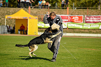 Diego von der Burg Gemen
