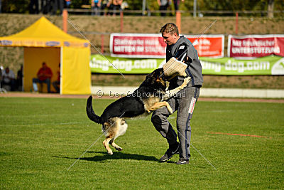 Diego von der Burg Gemen