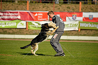 Diego von der Burg Gemen