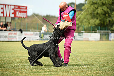 Dieter vom Feuertanz