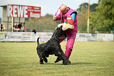 Dieter vom Feuertanz