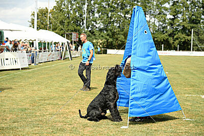 Dieter vom Feuertanz