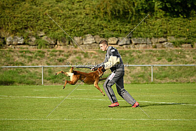 Digger vom Stockborn