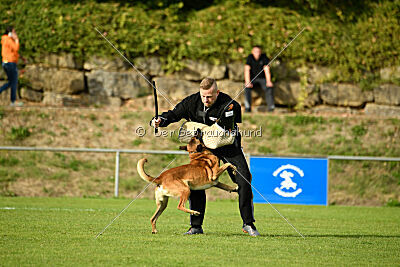 Digger vom Stockborn
