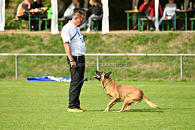 Digger vom Stockborn