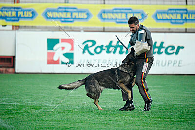 Diktator Nirreterrit