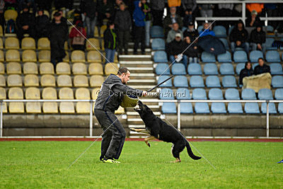 Dina vom Eisernen Kreuz