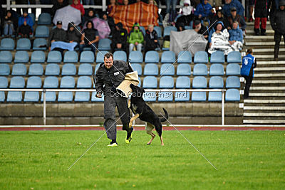 Dina vom Eisernen Kreuz