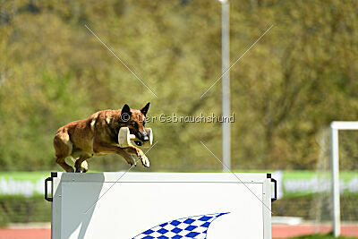 Dixi z Údolí Jizery