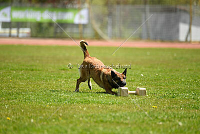 Dixi z Údolí Jizery