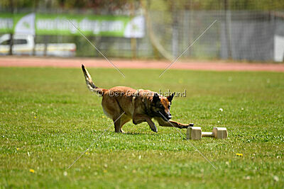 Dixi z Údolí Jizery