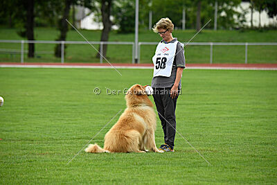 Djambo Grofje Celjski