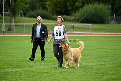 Djambo Grofje Celjski