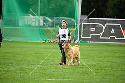 Djambo Grofje Celjski