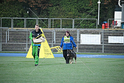 Django vom Ottilienstein