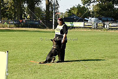 Django vom Ottilienstein