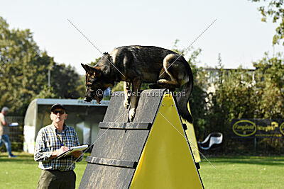 Django vom Ottilienstein