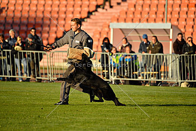 Djuke von den Wölfen