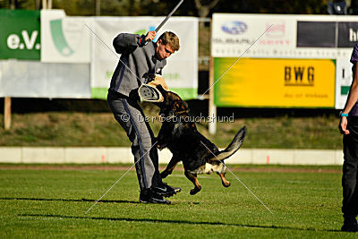 Dobby vom treuen Kamerad