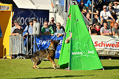 Dobby vom treuen Kamerad