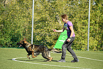 Dobby vom treuen Kamerad