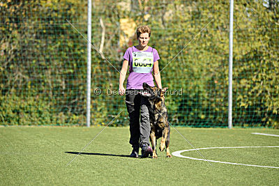 Dobby vom treuen Kamerad