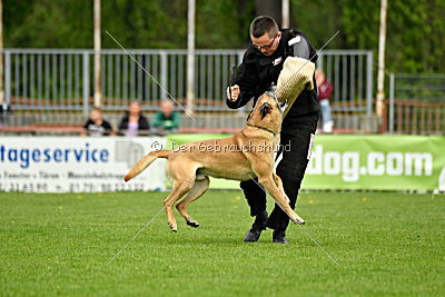 Doctor vom Hirtengarten