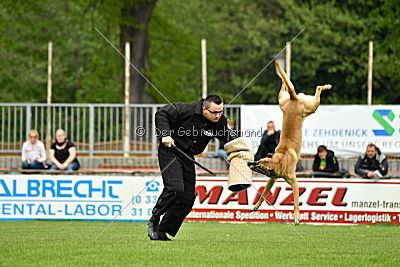 Doctor vom Hirtengarten