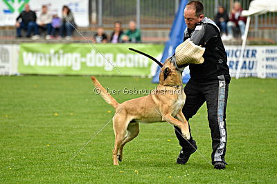 Doctor vom Hirtengarten