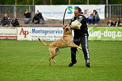 Doctor vom Hirtengarten