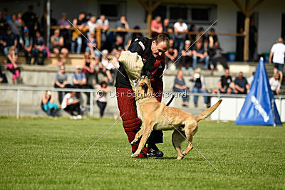 Doctor vom Hirtengarten