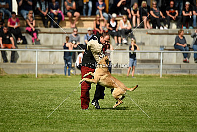 Doctor vom Hirtengarten