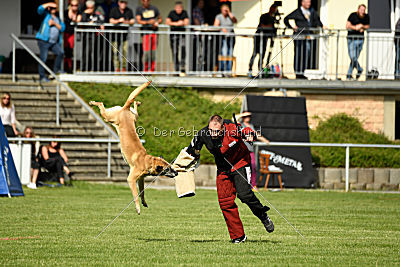 Doctor vom Hirtengarten