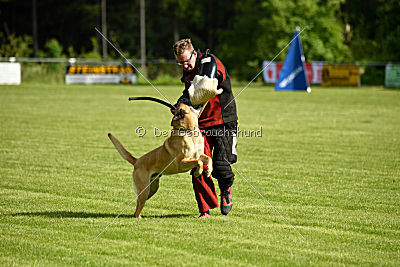 Doctor vom Hirtengarten