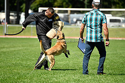 Doctor vom Hirtengarten