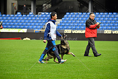 Dolf von S.K. Lieben