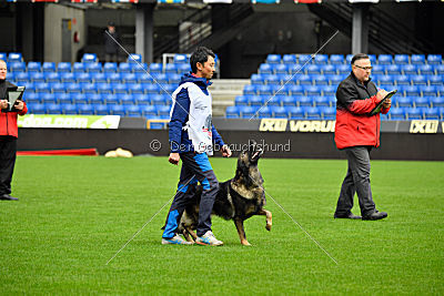 Dolf von S.K. Lieben