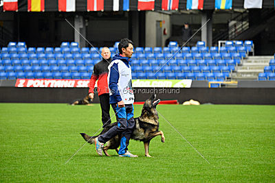 Dolf von S.K. Lieben