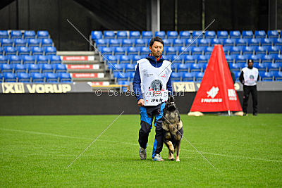 Dolf von S.K. Lieben